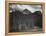 Stream In Fgnd With View Of Trees And Snow On Mts, Wyoming 1933-1942-Ansel Adams-Framed Stretched Canvas