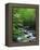 Stream in Lush Forest-Ron Watts-Framed Premier Image Canvas