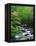 Stream in Lush Forest-Ron Watts-Framed Premier Image Canvas