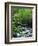 Stream in Lush Forest-Ron Watts-Framed Premium Photographic Print