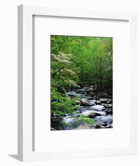 Stream in Lush Forest-Ron Watts-Framed Premium Photographic Print