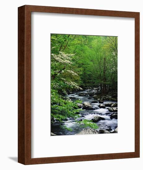 Stream in Lush Forest-Ron Watts-Framed Premium Photographic Print