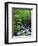 Stream in Lush Forest-Ron Watts-Framed Premium Photographic Print