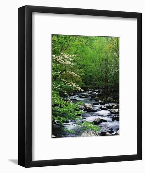 Stream in Lush Forest-Ron Watts-Framed Premium Photographic Print