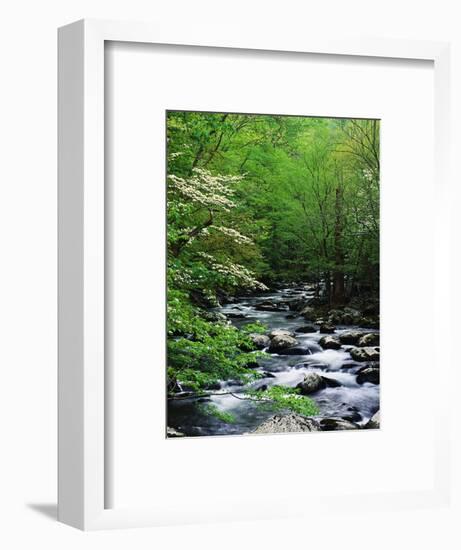 Stream in Lush Forest-Ron Watts-Framed Premium Photographic Print