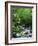 Stream in Lush Forest-Ron Watts-Framed Premium Photographic Print