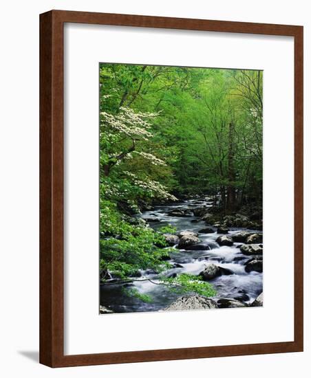 Stream in Lush Forest-Ron Watts-Framed Premium Photographic Print