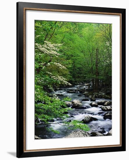 Stream in Lush Forest-Ron Watts-Framed Photographic Print