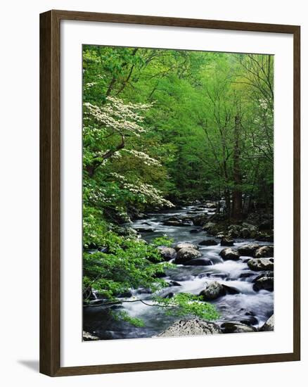 Stream in Lush Forest-Ron Watts-Framed Photographic Print