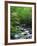 Stream in Lush Forest-Ron Watts-Framed Photographic Print