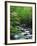 Stream in Lush Forest-Ron Watts-Framed Photographic Print