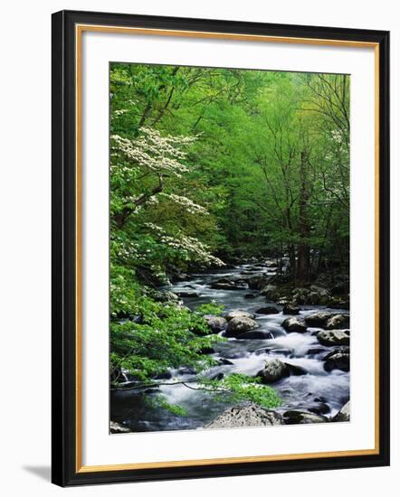 Stream in Lush Forest-Ron Watts-Framed Photographic Print