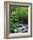 Stream in Lush Forest-Ron Watts-Framed Photographic Print