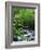 Stream in Lush Forest-Ron Watts-Framed Photographic Print