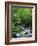 Stream in Lush Forest-Ron Watts-Framed Photographic Print