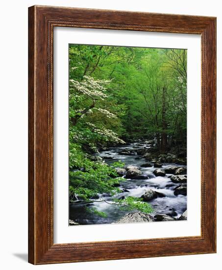 Stream in Lush Forest-Ron Watts-Framed Photographic Print