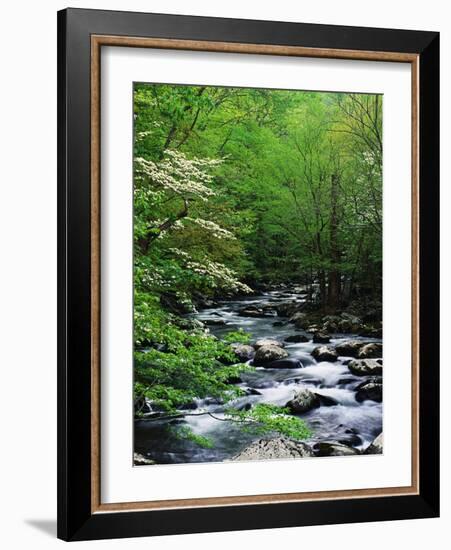 Stream in Lush Forest-Ron Watts-Framed Photographic Print