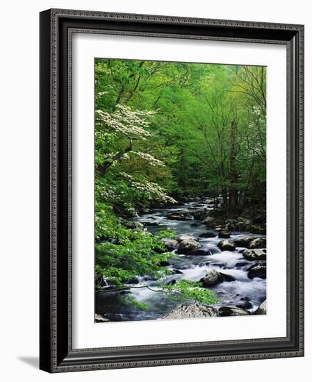 Stream in Lush Forest-Ron Watts-Framed Photographic Print