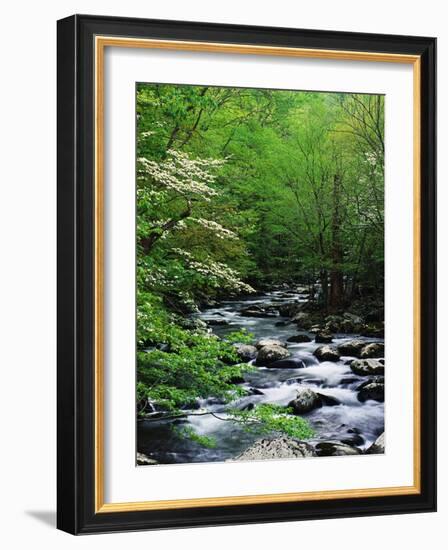 Stream in Lush Forest-Ron Watts-Framed Photographic Print