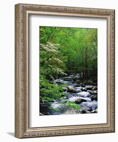 Stream in Lush Forest-Ron Watts-Framed Photographic Print