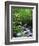 Stream in Lush Forest-Ron Watts-Framed Photographic Print