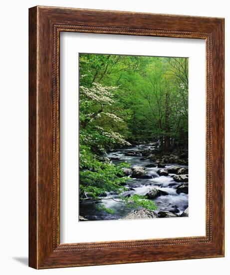 Stream in Lush Forest-Ron Watts-Framed Photographic Print