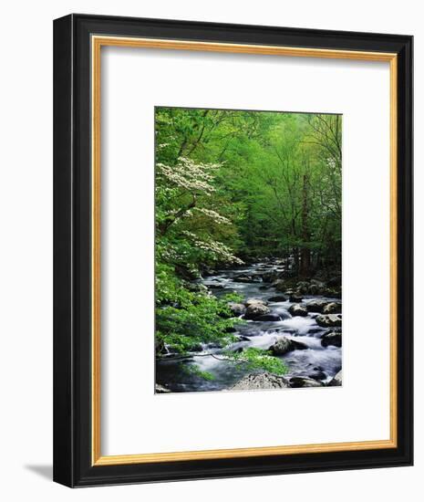 Stream in Lush Forest-Ron Watts-Framed Photographic Print