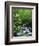 Stream in Lush Forest-Ron Watts-Framed Photographic Print