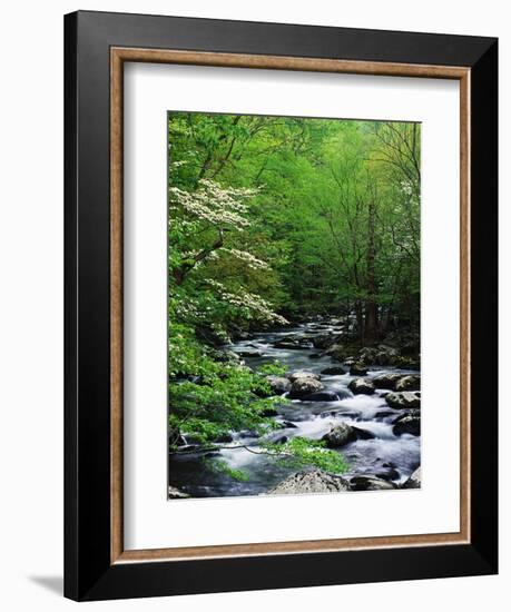 Stream in Lush Forest-Ron Watts-Framed Photographic Print