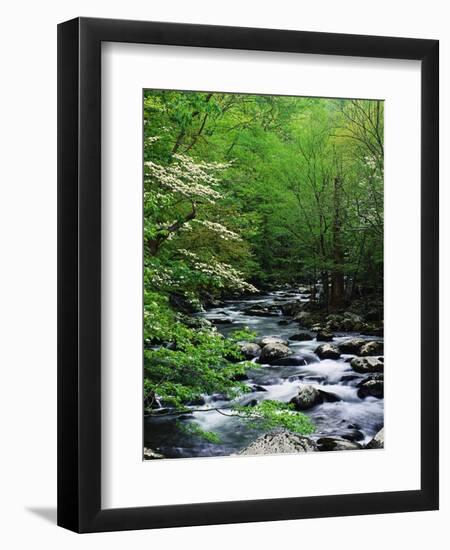 Stream in Lush Forest-Ron Watts-Framed Photographic Print