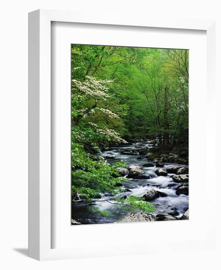 Stream in Lush Forest-Ron Watts-Framed Photographic Print