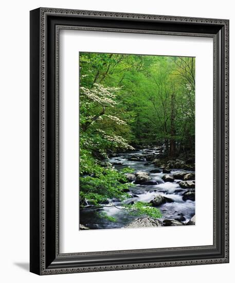 Stream in Lush Forest-Ron Watts-Framed Photographic Print