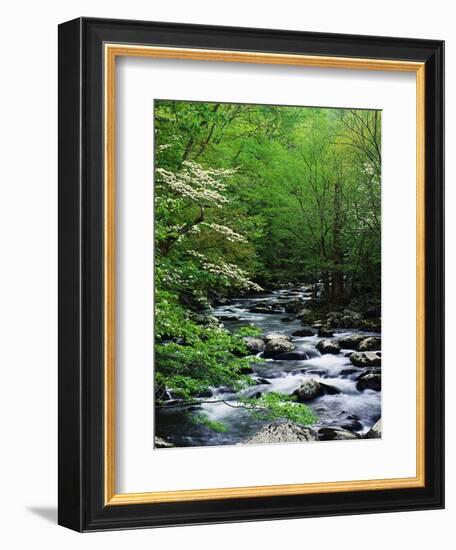 Stream in Lush Forest-Ron Watts-Framed Photographic Print