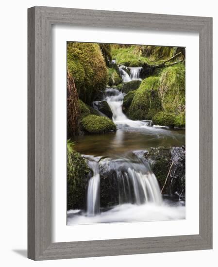 Stream in Oak Wood, Ariundle Woods National Nature Reserve, Strontian, Argyll, Scotland, UK-Toon Ann & Steve-Framed Photographic Print