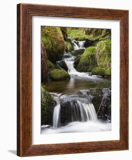 Stream in Oak Wood, Ariundle Woods National Nature Reserve, Strontian, Argyll, Scotland, UK-Toon Ann & Steve-Framed Photographic Print