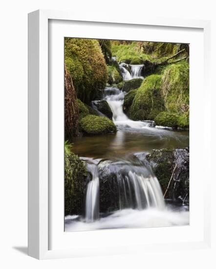 Stream in Oak Wood, Ariundle Woods National Nature Reserve, Strontian, Argyll, Scotland, UK-Toon Ann & Steve-Framed Photographic Print