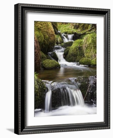 Stream in Oak Wood, Ariundle Woods National Nature Reserve, Strontian, Argyll, Scotland, UK-Toon Ann & Steve-Framed Photographic Print