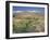 Stream in the Atacama Desert with the Andes on the Horizon, San Pedro De Atacama Region, Chile-Robert Francis-Framed Photographic Print