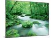 Photographic Print