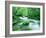 Stream in the Forest-null-Framed Photographic Print