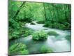 Photographic Print