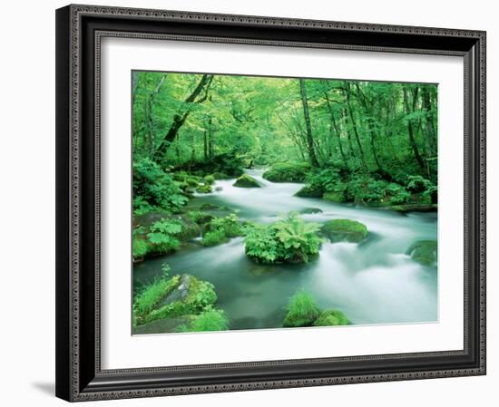 Stream in the Forest-null-Framed Photographic Print