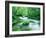 Stream in the Forest-null-Framed Photographic Print