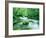 Stream in the Forest-null-Framed Photographic Print