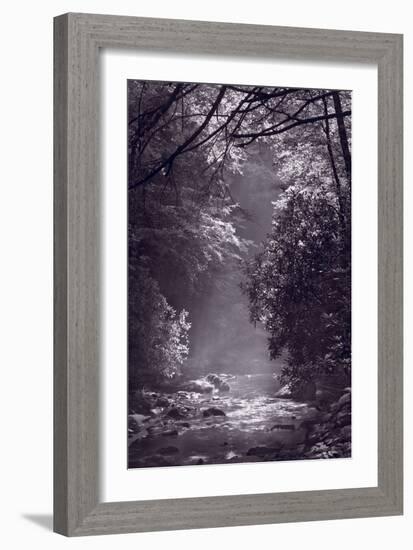 Stream Light BW-Steve Gadomski-Framed Photographic Print