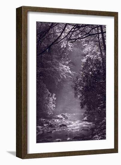 Stream Light BW-Steve Gadomski-Framed Photographic Print