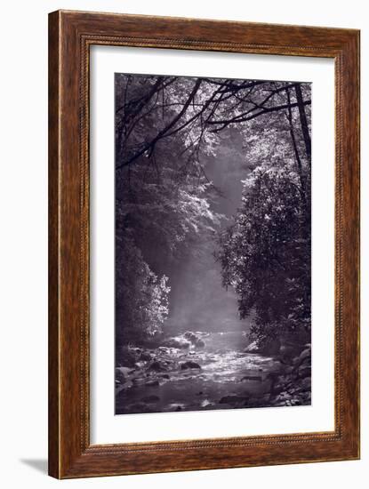 Stream Light BW-Steve Gadomski-Framed Photographic Print