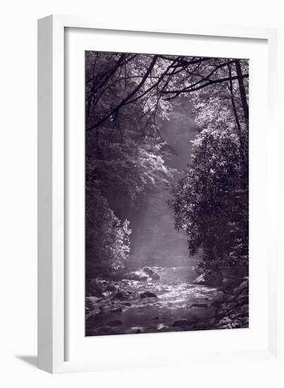 Stream Light BW-Steve Gadomski-Framed Photographic Print