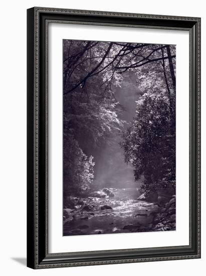 Stream Light BW-Steve Gadomski-Framed Photographic Print