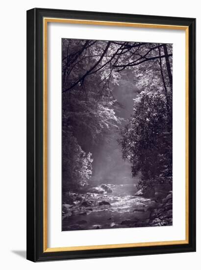 Stream Light BW-Steve Gadomski-Framed Photographic Print